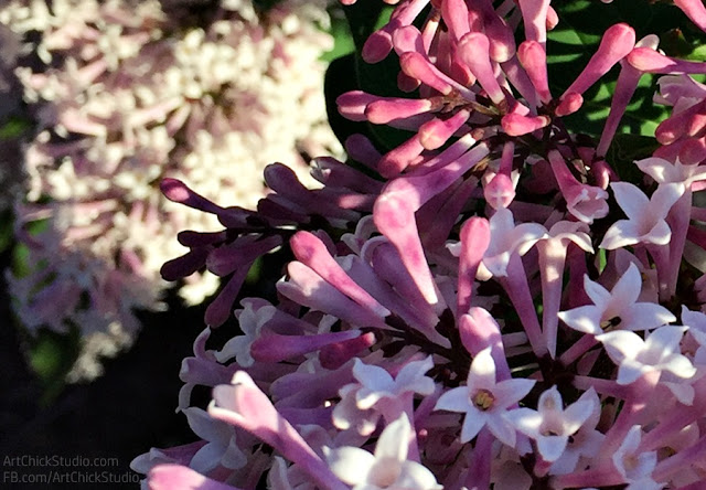 More Lilacs in Bloom from Art Chick Studio