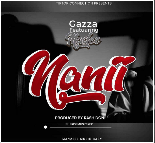 Image result for Gazza ft Madee - Nani