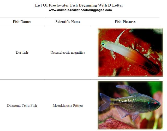 List of freshwater fish beginning with D