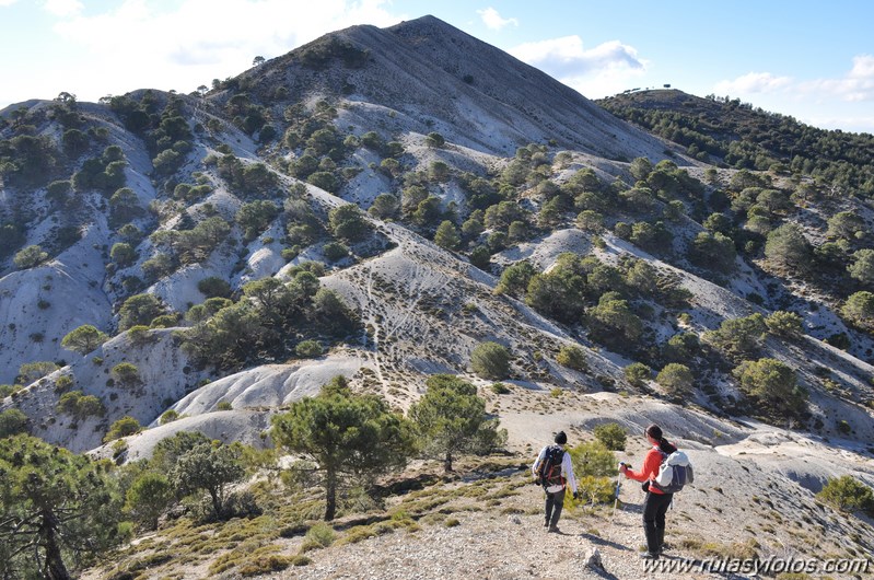 Trevenque - Cerro del Cocón - Cerro Gordo - Pico de la Carne