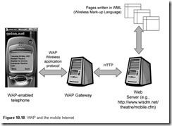 Developing Web Information Systems-0125