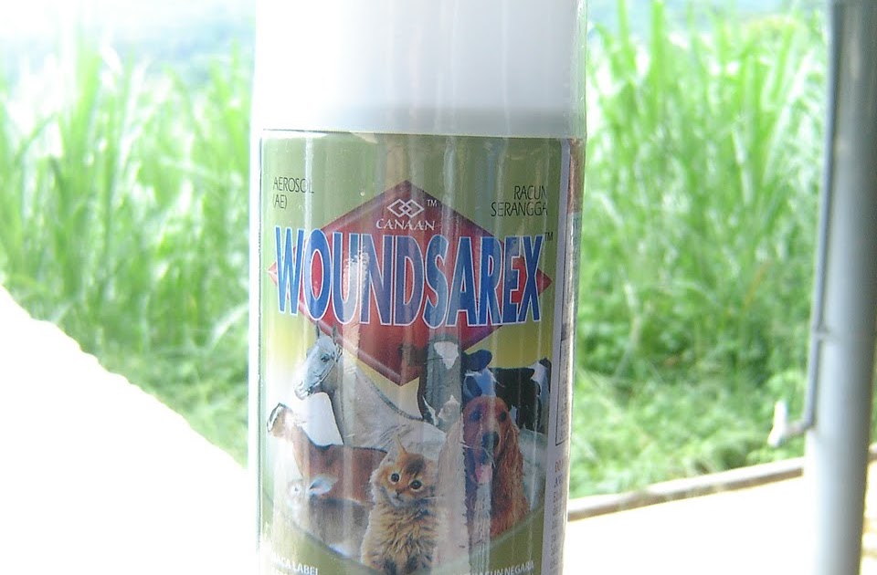 Projekmeru.blogspot.com: Wound Sarex - Ubat Luka