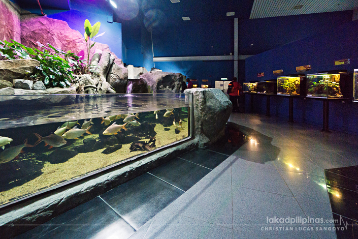 Underwater World Langkawi Preview Tank Pantai Cenang Malaysia 