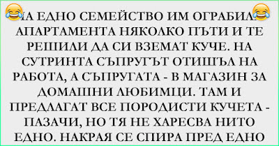 [ВИЦ Трепач] На едно семейство им ограбили апартамента