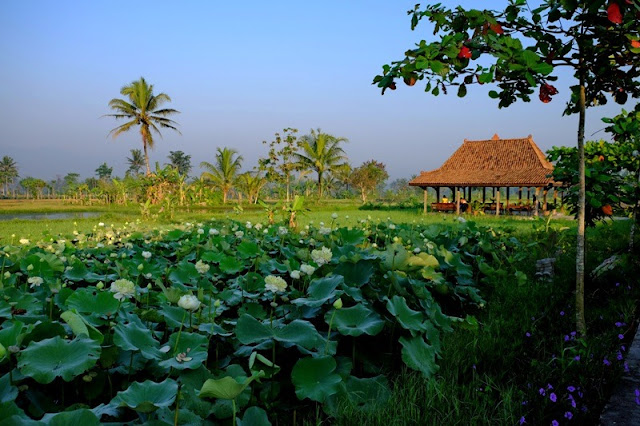 Hotel Puri Menoreh