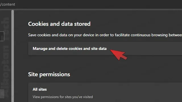 Manage and delete Cookies and site data edge