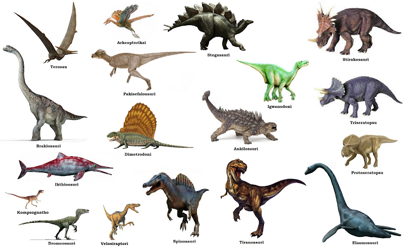 22+ Kinds Of Dinosaurs