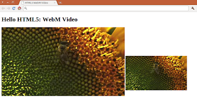 Set Width and Height of HTML5 embedded Video