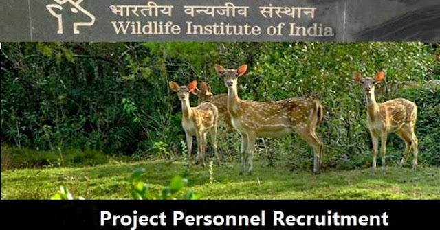 Wildlife Institute of india Recruitment 