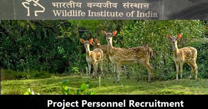 Wildlife Institute of india Recruitment 2019 : Apply Online for 29 Research Associate, Project Assistant and Other Posts