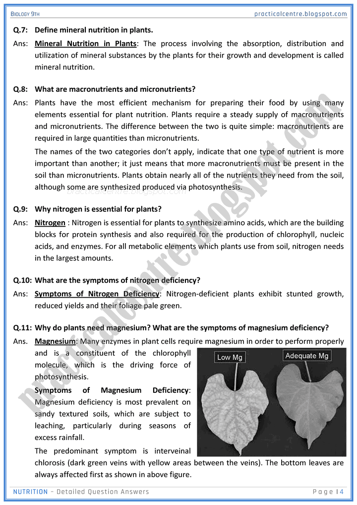 nutrition-detailed-question-answers-biology-9th-notes