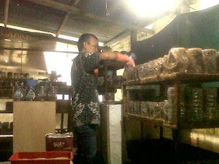 Jual bibit kroto, Cara ternak kroto , cara budidaya kroto, cara buka agen bibit kroto 