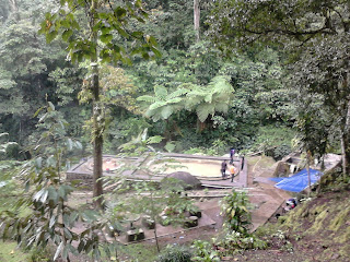 Curug Gonoharjo