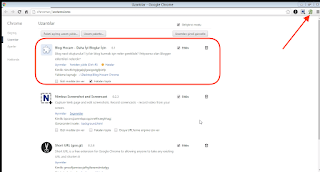 chrome uzantı