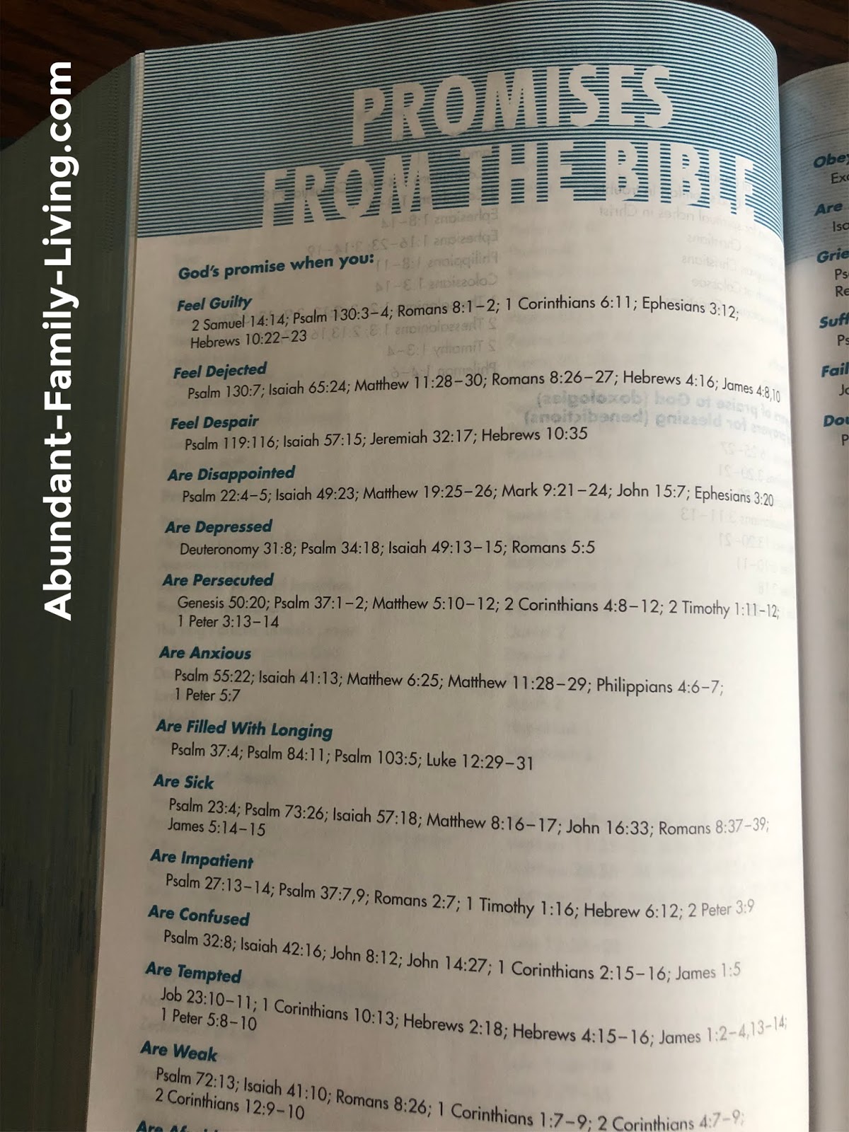 Abundant Family Living The Niv Quest Study Bible Answers