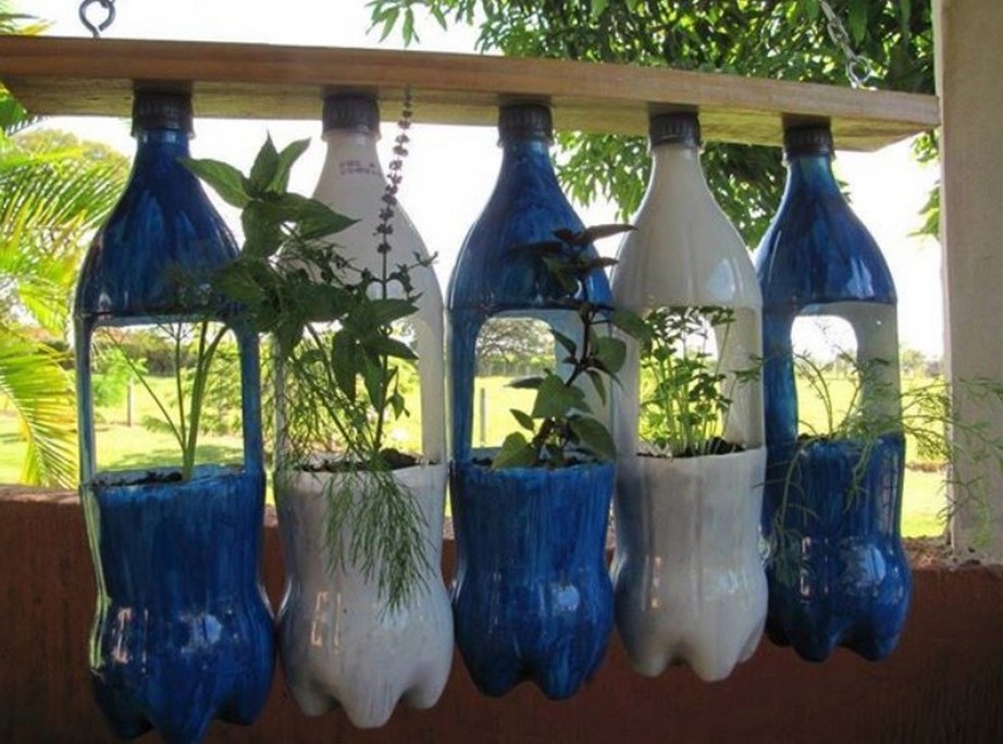 DIY Menanam Pokok Hiasan  di Dalam Botol  Plastik  DIY Malaysia