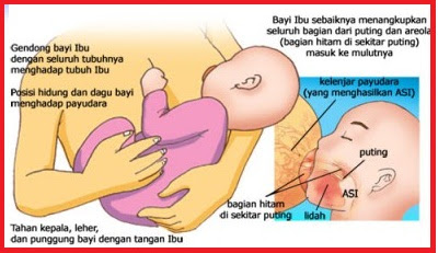 posisi menyusui bayi yang benar