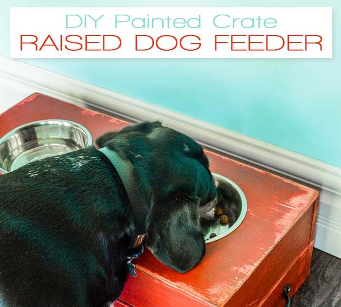 DIY Raised Dog Feeder | i should be mopping the floor