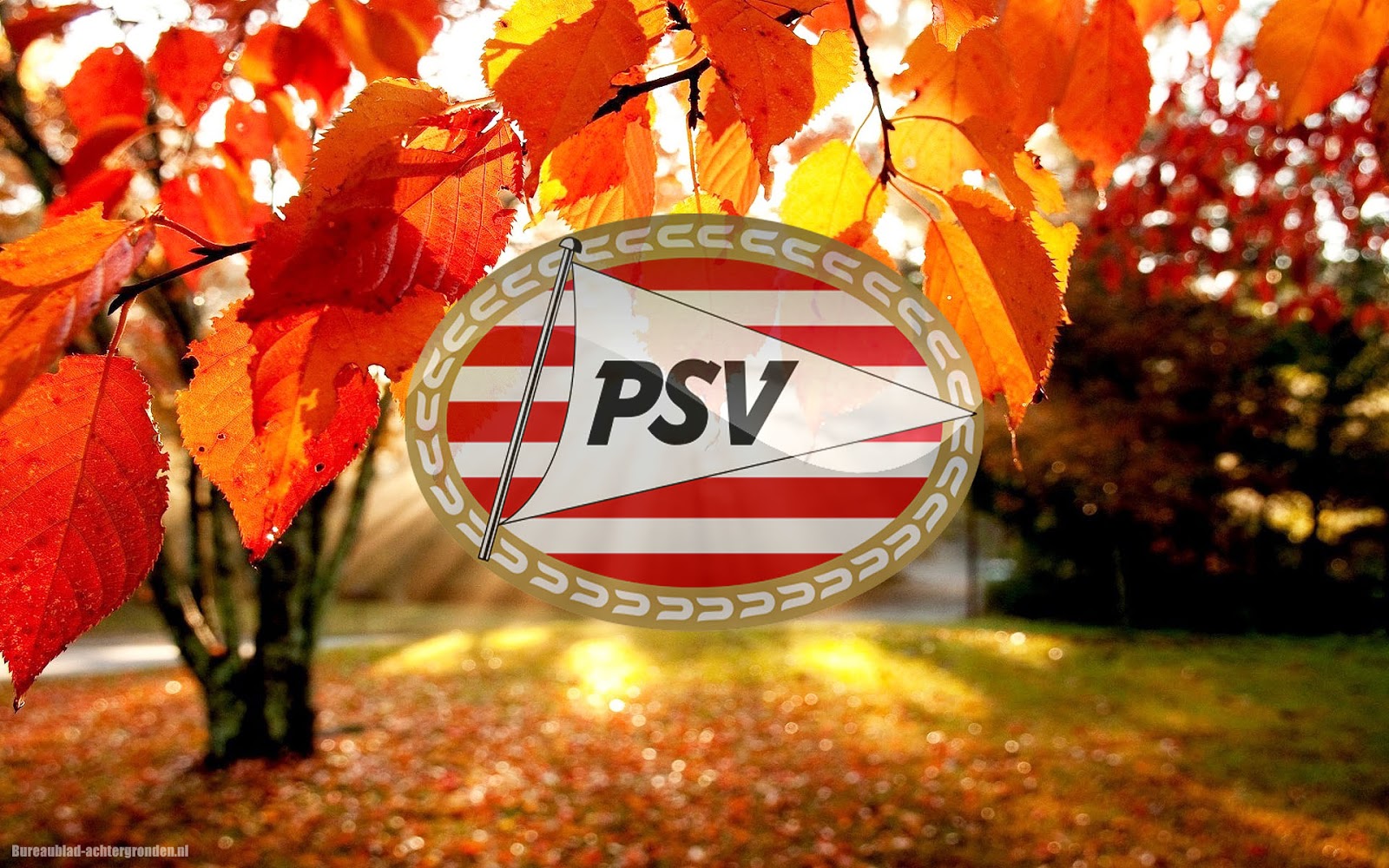 Psv / PSV Eindhoven 4k Ultra HD Wallpaper | Achtergrond : The