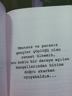 Resim