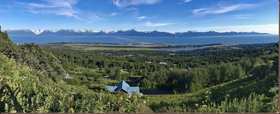 Homer AK95-21 Jul 2018