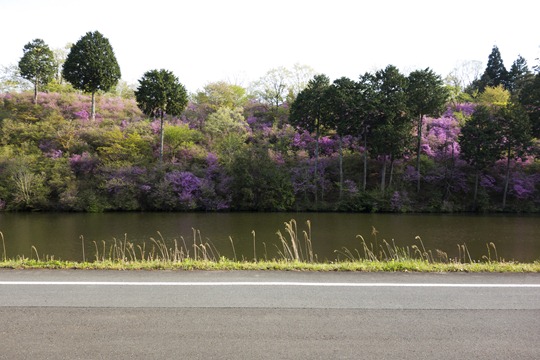 20130425-_DSC5310