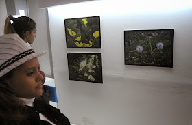 Exposición del Pico Turquino del fotoreportero  Ramon en Casa del ALBA en La Habana