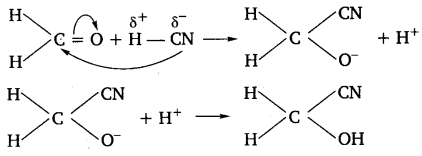 Solutions Class 11 रसायन विज्ञान Chapter-12 (कार्बनिक रसायन : कुछ आधारभूत सिद्धान्त तथा तकनीकें)