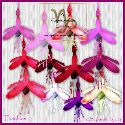 http://capricorncazcreations.blogspot.com/2009/08/fuschias.html