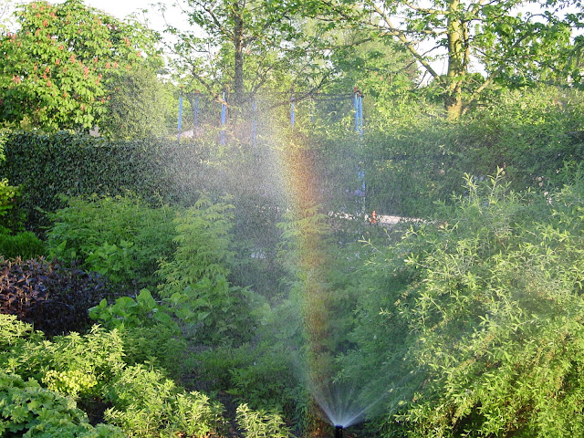 Regenboog zichtbaar in het water van een sproeier