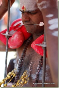 piercings and hooks