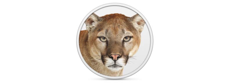 Mountain lion