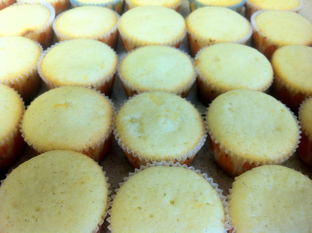 Mini Lemon Cupcakes