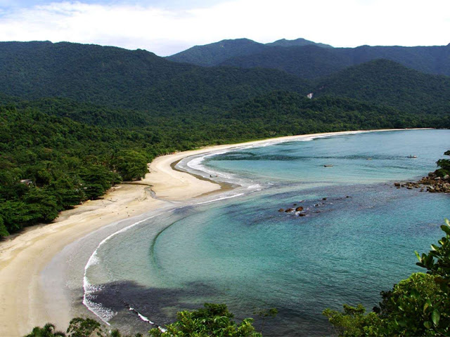 .Tem formato de coração, e está na natureza