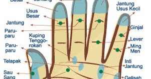 Ilmu Titik Meridian Akupuntur Dan Akupresur
