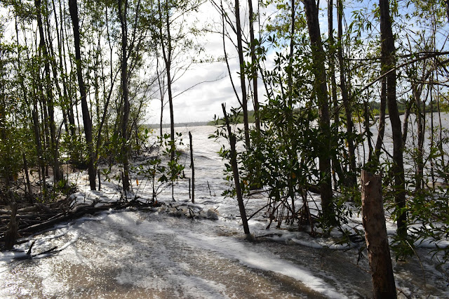 Guyane, kourou, route de Guatemala, plage