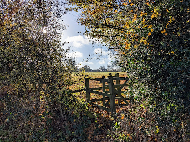 Turn right through the gate, still on Knebworth footpath 16