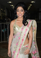 Shriya, Saran, In, a, Designer, Saree