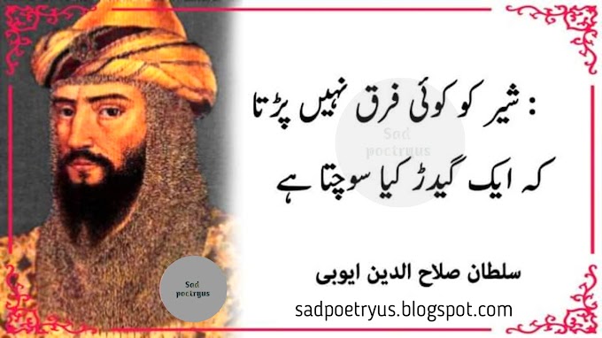 sher ko koi fark nahi parta k-sultan salahuddin ayubi quotes and sayings | Online urdu Poetry