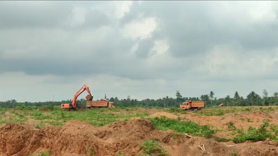Diduga Tanpa Izin, Perkebunan di Sergai ini Jadi Lokasi Galian Tanah Merah Jalan Tol