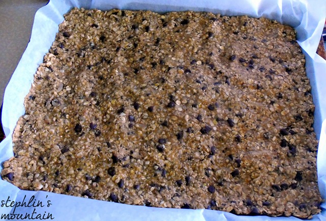 Easy, No-Bake Energy Bars Pressed In Pan