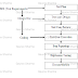 S/W Test Life Cycle (STLC)