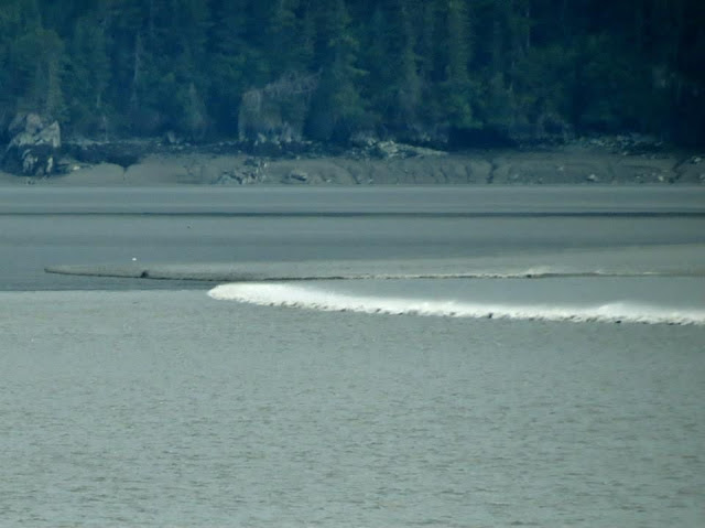 Beluga Point, AK