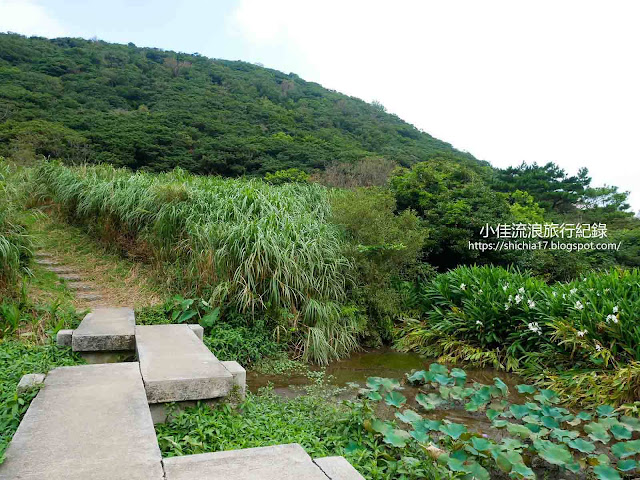 二子坪生態池步道