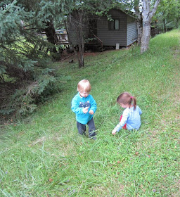 toddlers in the grass