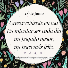 Frase del Dia 28 de Junio