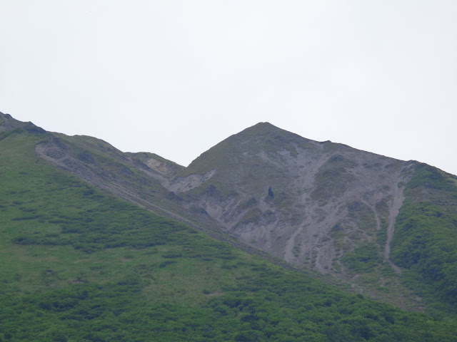 大山の眺望