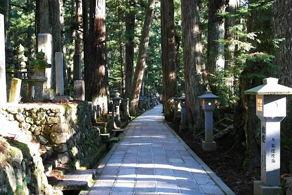 mount koya