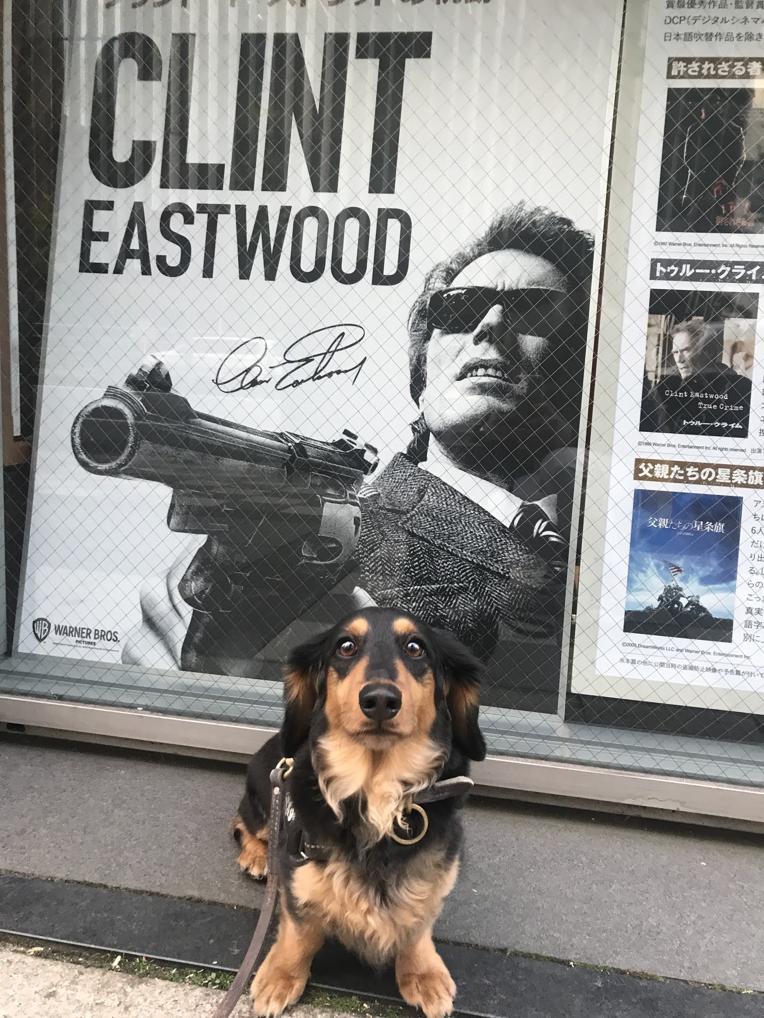ドイツ語練習帳 クリント イーストウッド Clint Eastwood ドイツ語練習帳 クリント イーストウッド Clint Eastwood