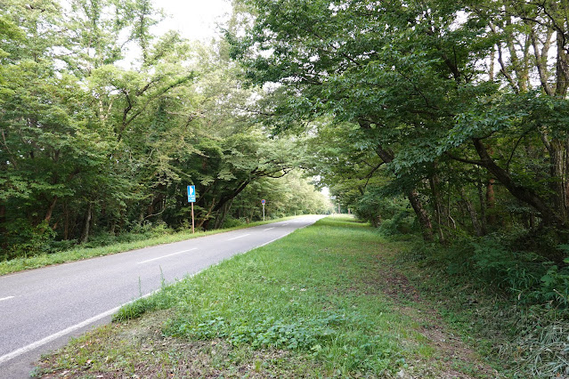 鳥取県道24号米子大山線　鳥取県西伯郡大山町赤松字上槙原